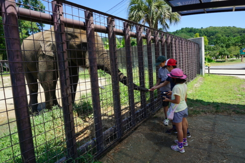 Akiyoshidai Safari Land
