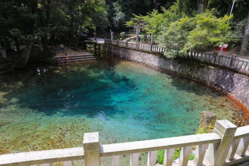 Beppu Benten Pond