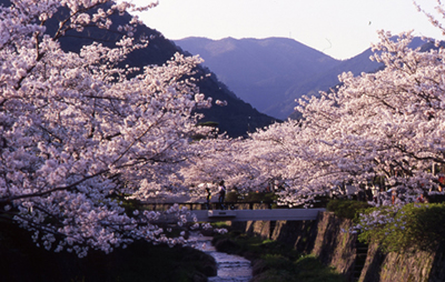 Ichinosaka River